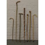 A collection of seven walking sticks.