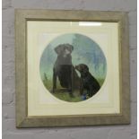 A framed gouache in circular mount, depicting two black Labradors, 74cm x 74cm.