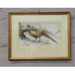 Duncan Munro, a gilt framed watercolour of a pheasant.