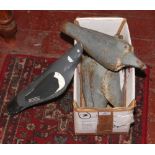 A box of pigeon decoys.Condition report intended as a guide only.Rusting to majority, with paintwork