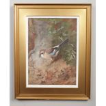 Archibald Thorburn. A gilt framed artist proof Ornithological print of a Jay, signed in pencil and