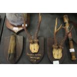 Pair of mounted deer antlers and hoof