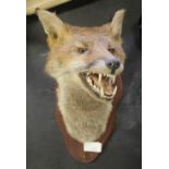 Taxidermy fox mask - Simon Wilson