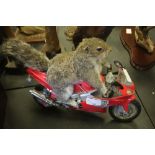 Taxidermy Squirrel on motorbike