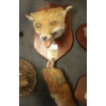 Taxidermy Fox mask and brush