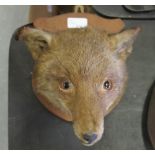 Taxidermy fox mask