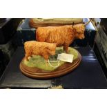 BFA Highland cow and calf L103