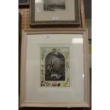 Laura Blackwood Watercolour on Antique Whatman Paper - (Author of "A Celebration of Nature")