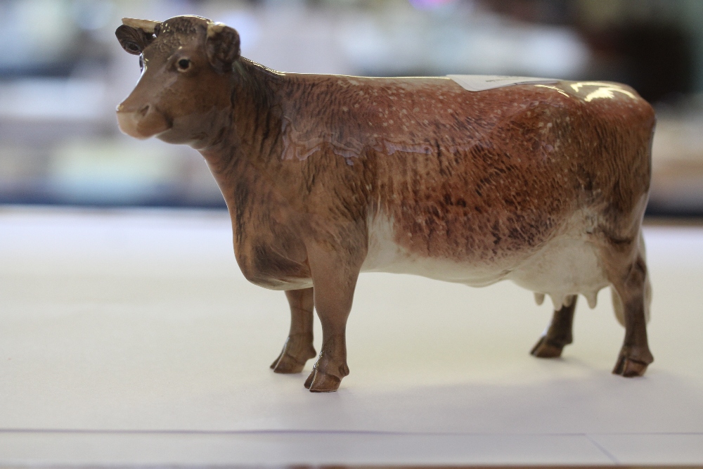 Beswick Dairy Short-Horn Cow CH Eaton Wild Eyes (af) - Image 3 of 3