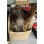 2 Hides in Box