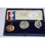 Dale Lodge WW1 medallions and badges