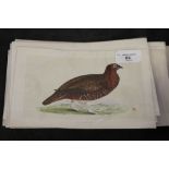 13 hand coloured engravings of Game Birds c1860 Morris's Birds