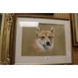 K.A. Cole pastel of a Corgi