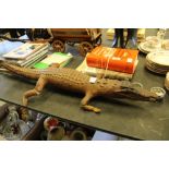 Taxidermy Crocodile/caiman