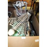 Box of Skeleton Figures