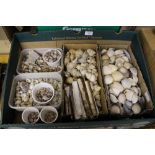 Box of mixed sea shell, stones, minerals