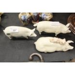 3 Beswick Pig Studies: Boar 'Wall Champion Bay 53rd', 1453A Sow 'Wall Queen 40th' 1452A and Piggy