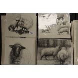 18 Henry Moore Sheep