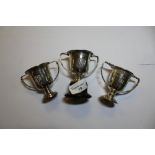 3 Silver Trophy Cups