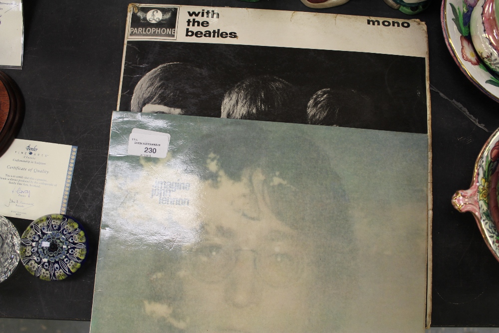 The Beatles and John Lennon Vinyls