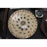 Hardwood Tray and a Fossilised Display of Teeth and Shells