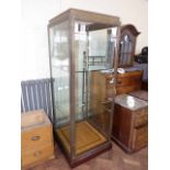 19th century brass frame display case 190cm high 74cm deep and 68cm wide on mahogany base with inset