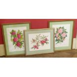 A pair of framed watercolours by Irene Middleton of botanical studies and watercolour of Azalia by