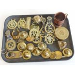 Quantity horse brasses and mixed brass ware.