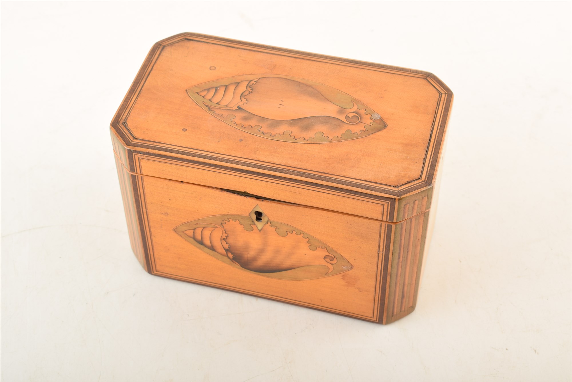 An early 19th century satinwood tea caddy, with inlaid shell motif, ivory escutcheon and mahogany