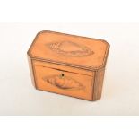 An early 19th century satinwood tea caddy, with inlaid shell motif, ivory escutcheon and mahogany