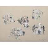 Sarah Clegg (1962-), Portrait studies of Cheshire Hounds, signed and dated '09, annotated with the