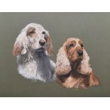 John Mould (1958-), "Cleo & Jane" - portraits of two spaniels, signed and dated 1985, pastel, 39.5 x