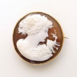 9ct shell cameo. Unfortunately we are not doing condition reports on this sale.