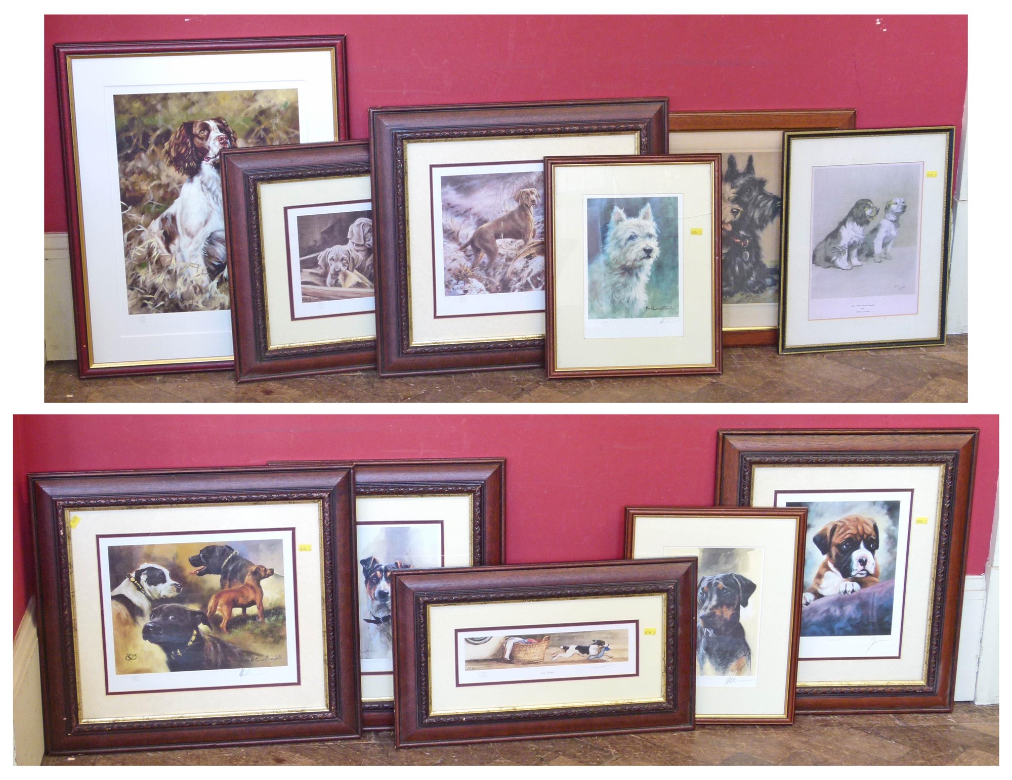 A collection of various dog pictures to include signed prints by Mick Cawston, Lucy Dawson, John