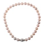 Cultured pearl choker necklace with 18ct white gold diamond set clasp , comprising 35 silver-pink