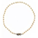 Cultured pearl choker necklace with 9ct white gold diamond set clasp , necklace comprising 44 pearls
