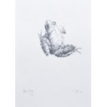 Sarah Gillespie, 20th/21st century, "Pool Frog", initialled and dated '15, pencil drawing, 29.5 x