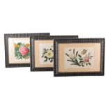 Twelve late 19th century Chinese ricepaper paintings of floral design. In modern, glazed frames.