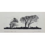 James Dodds (b.1957), "Windblown Trees" and "Saddleback", both signed and numbered 35/50 and A/P