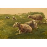 Attributed to Anton Mauve (1838-1888), Study of sheep, unsigned, oil on canvas, 20 x 30cm, 7.75 x