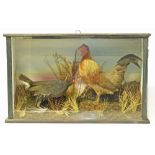 Cased water hen and game cock. Condition reports are not available for our Interiors Sale.