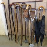 Featherwaite and Swaines-Brigg shooting stick, a quantity of walking sticks and umbrellas