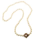 Single row of Mikimoto pearls with 14ct gold pearl set clasp , the Mikimoto cultured pearl beads 5 -