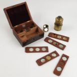 Six 19th century mahogany microscope slides,