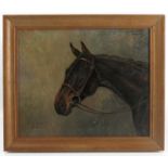 L W Lucas, oil on canvas, E.S.B portrait of the bay racehorse, dated 1957, 9.5ins x 11.