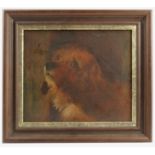 An English school, oil on canvas, study of a dog's head, 11.5ins x 13.