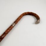 A Jersey dried cabbage stalk walking stick, with textured finish, with silver ferrule and end,