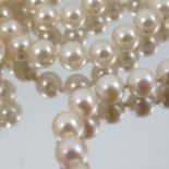 A uniform row of cultured pearls, the sixty three pearls of approximately 6 - 6.