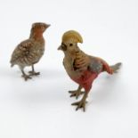 A cold painted bronze model, of a Golden pheasant, length 4ins, height 1.