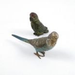 A cold painted bronze model, of a parrot, stamped Austria, height 1.